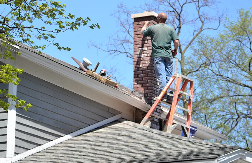 Chimney & Fireplace Inspections Services in Reidsville, NC